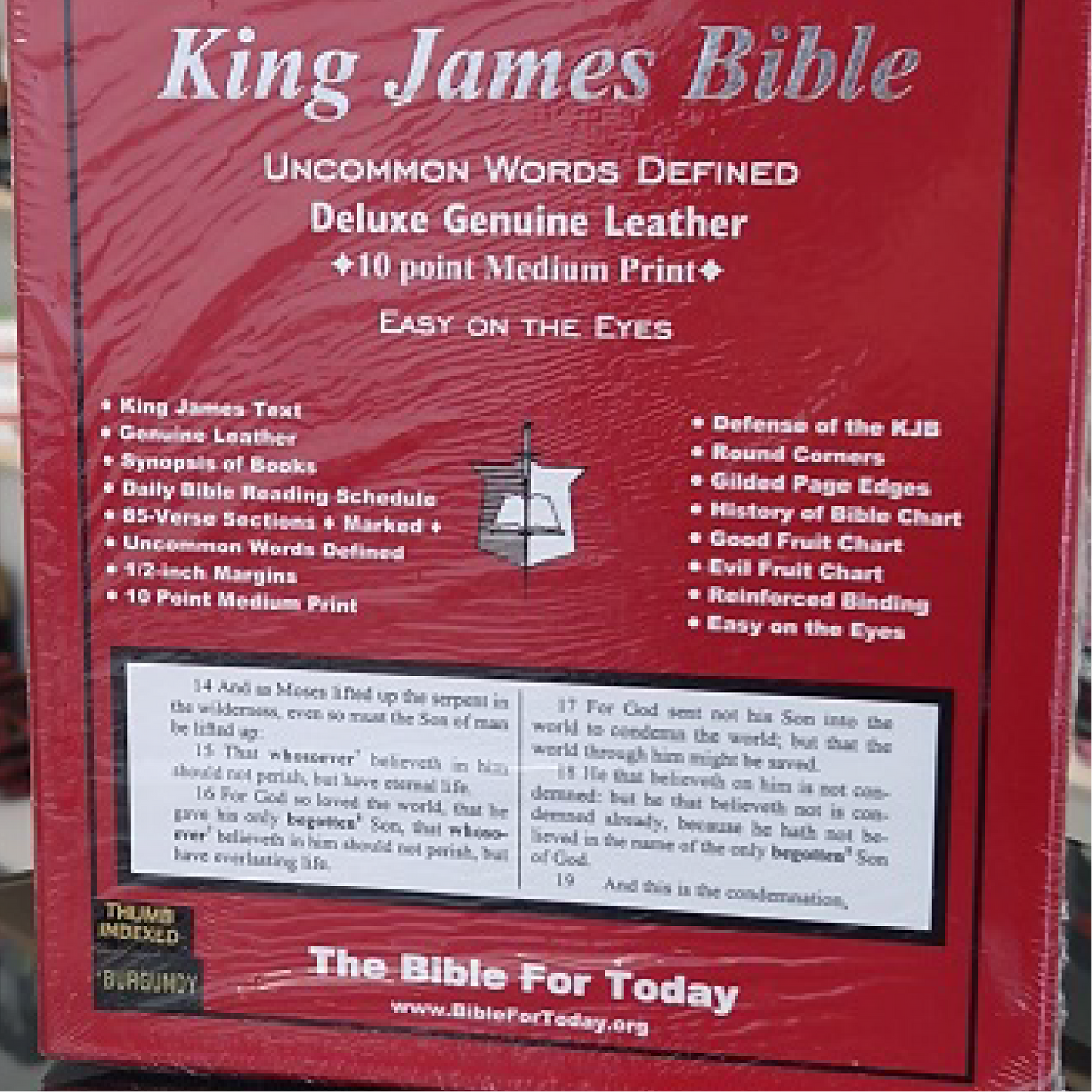 King James Bible