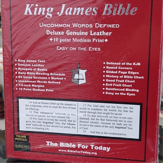 King James Bible